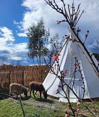 Red Tipi Kamp alanı *